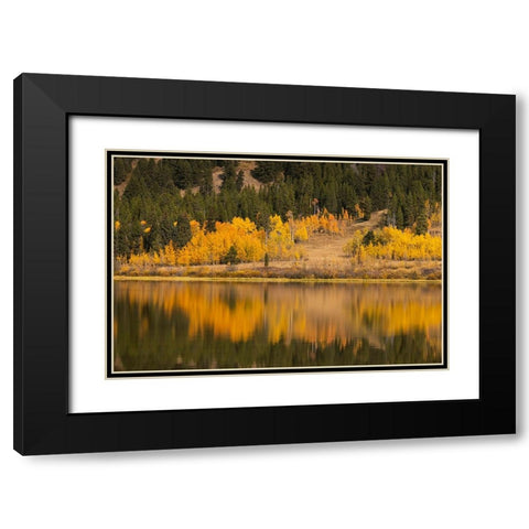 Autumn view of willows and aspen trees along shoreline of Two Ocean Lake-Grand Teton National Park Black Modern Wood Framed Art Print with Double Matting by Jones, Adam