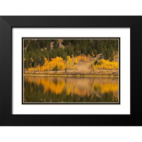 Autumn view of willows and aspen trees along shoreline of Two Ocean Lake-Grand Teton National Park Black Modern Wood Framed Art Print with Double Matting by Jones, Adam