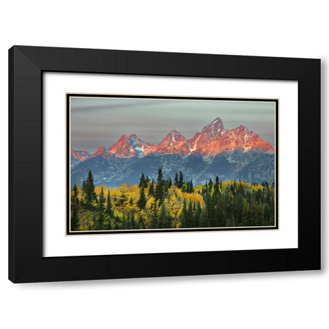 Autumn view of Teton Range at sunrise-Grand Teton National Park-Wyoming Black Modern Wood Framed Art Print with Double Matting by Jones, Adam