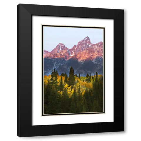 Autumn view of Teton Range at sunrise-Grand Teton National Park-Wyoming Black Modern Wood Framed Art Print with Double Matting by Jones, Adam