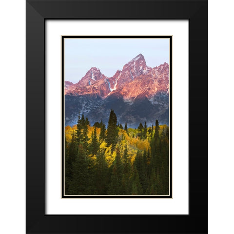 Autumn view of Teton Range at sunrise-Grand Teton National Park-Wyoming Black Modern Wood Framed Art Print with Double Matting by Jones, Adam