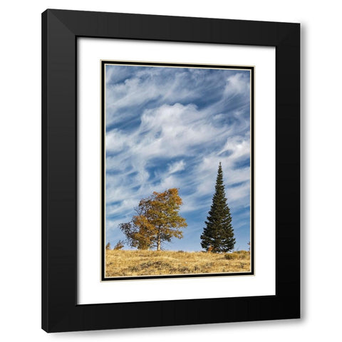 Two trees on ridge and cloud formation-Grand Teton National Park-Wyoming Black Modern Wood Framed Art Print with Double Matting by Jones, Adam