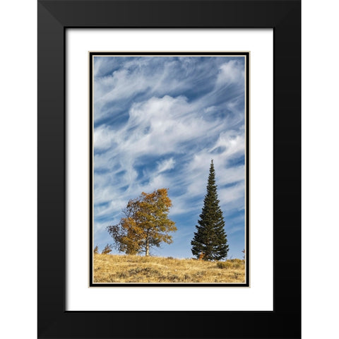 Two trees on ridge and cloud formation-Grand Teton National Park-Wyoming Black Modern Wood Framed Art Print with Double Matting by Jones, Adam