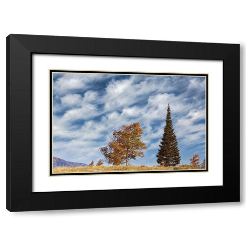 Two trees on ridge and cloud formation-Grand Teton National Park-Wyoming Black Modern Wood Framed Art Print with Double Matting by Jones, Adam