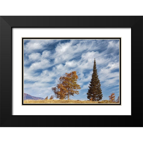 Two trees on ridge and cloud formation-Grand Teton National Park-Wyoming Black Modern Wood Framed Art Print with Double Matting by Jones, Adam