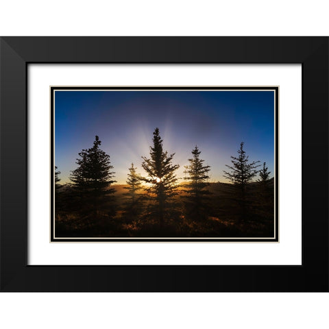 Pine trees silhouetted at sunset-Grand Teton National Park-Wyoming Black Modern Wood Framed Art Print with Double Matting by Jones, Adam