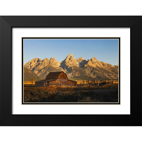 Historical Moulton barn at sunrise-Grand Teton National Park-Wyoming Black Modern Wood Framed Art Print with Double Matting by Jones, Adam
