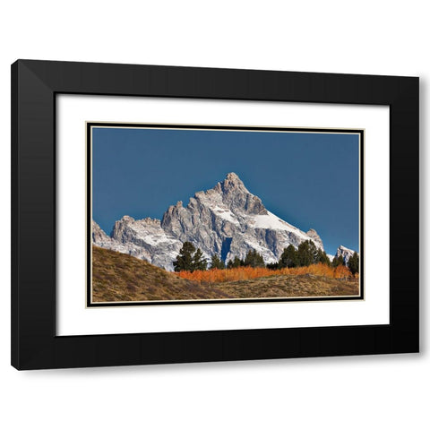 Aspen grove in front of Teton Range-Grand Teton National Park-Wyoming Black Modern Wood Framed Art Print with Double Matting by Jones, Adam