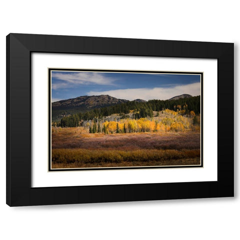 Autumn view of willows and aspen groves-Grand Teton National Park-Wyoming Black Modern Wood Framed Art Print with Double Matting by Jones, Adam