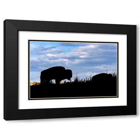 American Bison silhouette Yellowstone National Park-Wyoming Black Modern Wood Framed Art Print with Double Matting by Jones, Adam