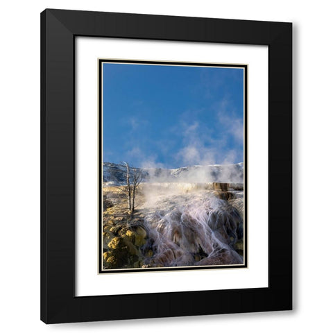 Colorful travertine slope with yellow and brown cyanobacteria-Mammoth Hot Springs Black Modern Wood Framed Art Print with Double Matting by Jones, Adam