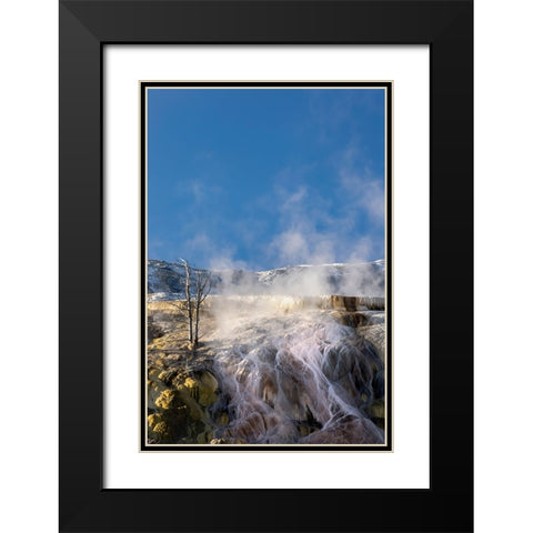 Colorful travertine slope with yellow and brown cyanobacteria-Mammoth Hot Springs Black Modern Wood Framed Art Print with Double Matting by Jones, Adam