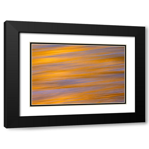 Sunset colors and trees reflecting on Snake River-Grand Teton National Park-Wyoming Black Modern Wood Framed Art Print with Double Matting by Jones, Adam