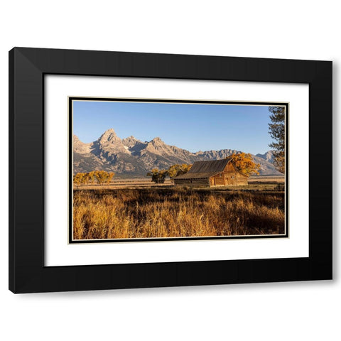 Moulton barn at sunrise and Teton Range-Grand Teton National Park-Wyoming Black Modern Wood Framed Art Print with Double Matting by Jones, Adam