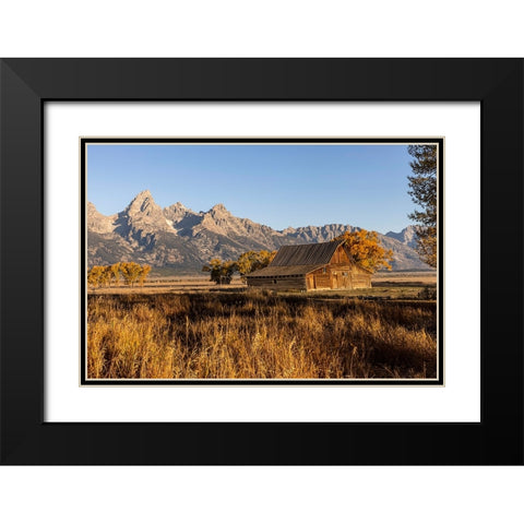 Moulton barn at sunrise and Teton Range-Grand Teton National Park-Wyoming Black Modern Wood Framed Art Print with Double Matting by Jones, Adam