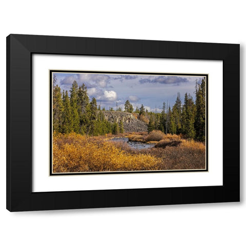 Columnar basalt formation at Sheepeater Cliffs-Yellowstone National Park-Wyoming Black Modern Wood Framed Art Print with Double Matting by Jones, Adam