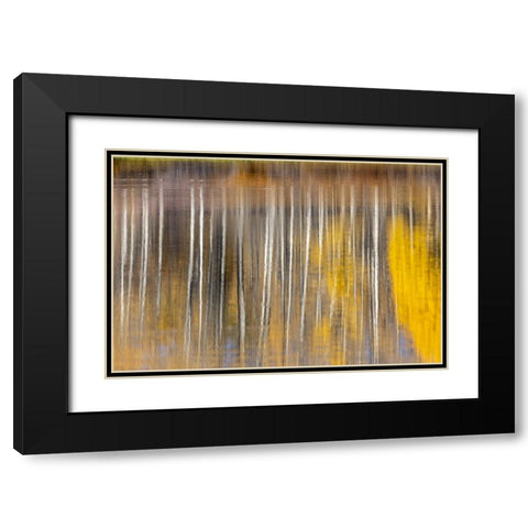 Autumn aspens abstract reflection at Oxbow Bend-Grand Teton National Park-Wyoming Black Modern Wood Framed Art Print with Double Matting by Jones, Adam
