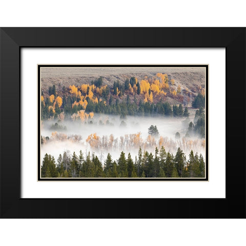 Elevated view of aspen and cottonwood trees mist along Snake River-Grand Teton National Park-Wyoming Black Modern Wood Framed Art Print with Double Matting by Jones, Adam