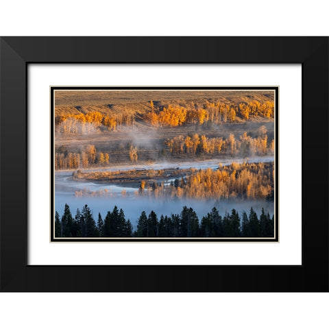 Elevated view of aspen and cottonwood trees mist along Snake River-Grand Teton National Park-Wyoming Black Modern Wood Framed Art Print with Double Matting by Jones, Adam