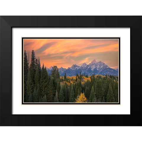 Golden aspen trees and Teton Range in early morning-Grand Teton National Park-Wyoming Black Modern Wood Framed Art Print with Double Matting by Jones, Adam