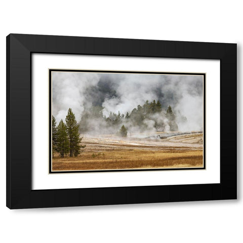 Grasses and mist in autumn meadow-Upper Geyser Basin-Yellowstone National Park-Wyoming Black Modern Wood Framed Art Print with Double Matting by Jones, Adam