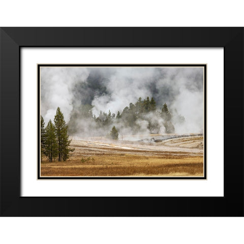 Grasses and mist in autumn meadow-Upper Geyser Basin-Yellowstone National Park-Wyoming Black Modern Wood Framed Art Print with Double Matting by Jones, Adam