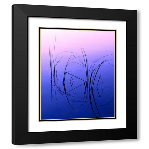 WY, Grand Tetons Reeds in a shallow pond Black Modern Wood Framed Art Print with Double Matting by Kelley, David