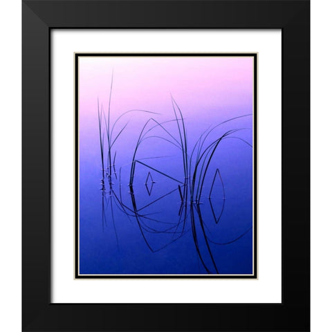 WY, Grand Tetons Reeds in a shallow pond Black Modern Wood Framed Art Print with Double Matting by Kelley, David