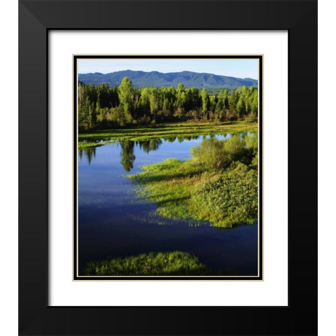 WY, Grand Tetons A Meadow in the Grand Tetons Black Modern Wood Framed Art Print with Double Matting by Talbot Frank, Christopher