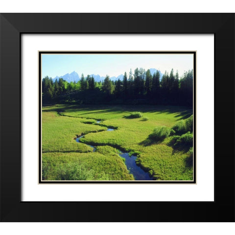 WY, Grand Tetons Grand Tetons and a lush meadow Black Modern Wood Framed Art Print with Double Matting by Talbot Frank, Christopher