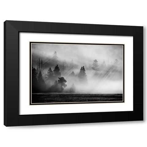 USA-Wyoming-Yellowstone National Park-Early morning fog with light rays through the trees Black Modern Wood Framed Art Print with Double Matting by Hopkins, Cindy Miller