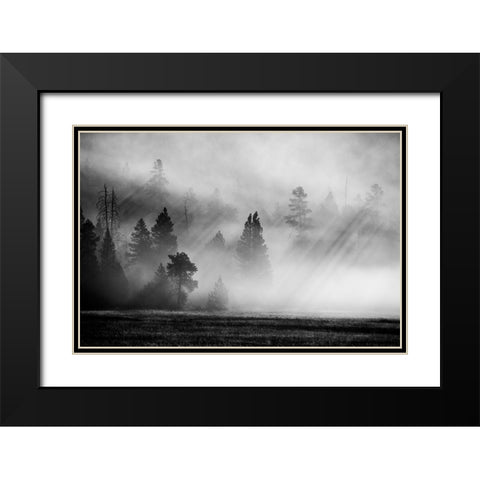 USA-Wyoming-Yellowstone National Park-Early morning fog with light rays through the trees Black Modern Wood Framed Art Print with Double Matting by Hopkins, Cindy Miller