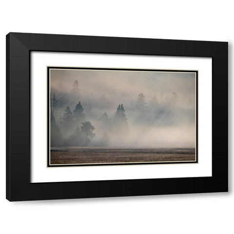 USA-Wyoming-Yellowstone National Park-Early morning fog with light rays through the trees Black Modern Wood Framed Art Print with Double Matting by Hopkins, Cindy Miller