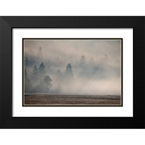 USA-Wyoming-Yellowstone National Park-Early morning fog with light rays through the trees Black Modern Wood Framed Art Print with Double Matting by Hopkins, Cindy Miller