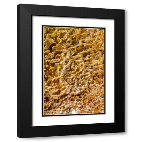 USA-Wyoming-Yellowstone National Park-Black Sand Basin-Detail of colorful thermophile bacteria mat Black Modern Wood Framed Art Print with Double Matting by Hopkins, Cindy Miller