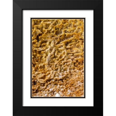 USA-Wyoming-Yellowstone National Park-Black Sand Basin-Detail of colorful thermophile bacteria mat Black Modern Wood Framed Art Print with Double Matting by Hopkins, Cindy Miller