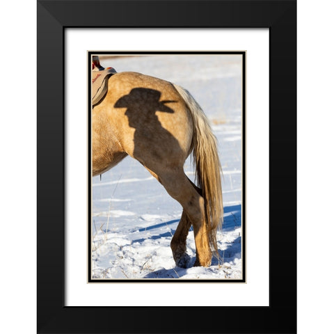 USA- Shell- Wyoming. Hideout Ranch Shadow of cowhand with hat on side of horse.  Black Modern Wood Framed Art Print with Double Matting by Gulin, Darrell