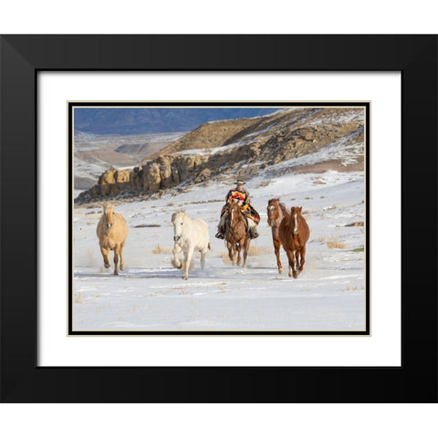 USA- Shell- Wyoming. Hideout Ranch cowboy riding and herding horses in snow.  Black Modern Wood Framed Art Print with Double Matting by Gulin, Darrell