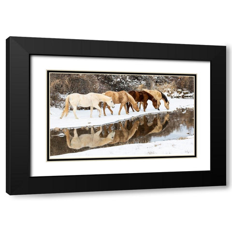 USA- Shell- Wyoming. Hideout Ranch horses in reflection Shell Creek.  Black Modern Wood Framed Art Print with Double Matting by Gulin, Darrell