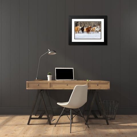 USA- Shell- Wyoming. Hideout Ranch with small herd of horses in snow.  Black Modern Wood Framed Art Print with Double Matting by Gulin, Darrell
