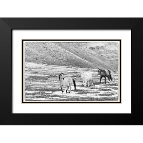 USA- Shell- Wyoming. Hideout Ranch with small herd of horses in snow.  Black Modern Wood Framed Art Print with Double Matting by Gulin, Darrell