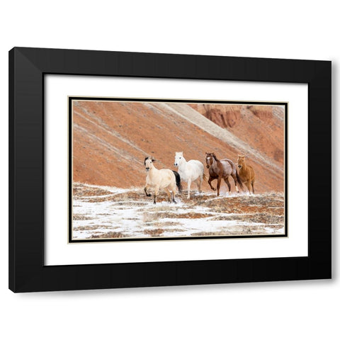USA- Shell- Wyoming. Hideout Ranch with small herd of horses in snow.  Black Modern Wood Framed Art Print with Double Matting by Gulin, Darrell