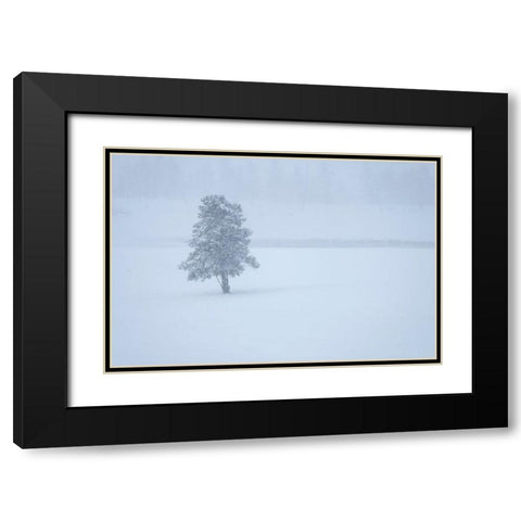 Lone tree Black Modern Wood Framed Art Print with Double Matting by Theodore, George and Marilu