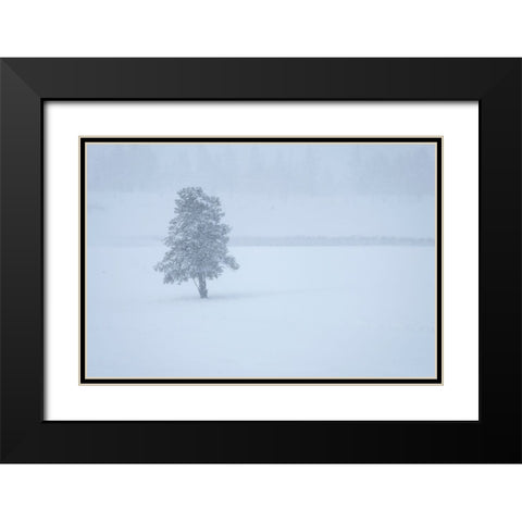 Lone tree Black Modern Wood Framed Art Print with Double Matting by Theodore, George and Marilu