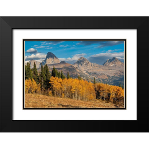 Landscape of Mt Owen-Grand Teton and Middle Teton from the west-golden fall foliage Black Modern Wood Framed Art Print with Double Matting by Garber, Howie