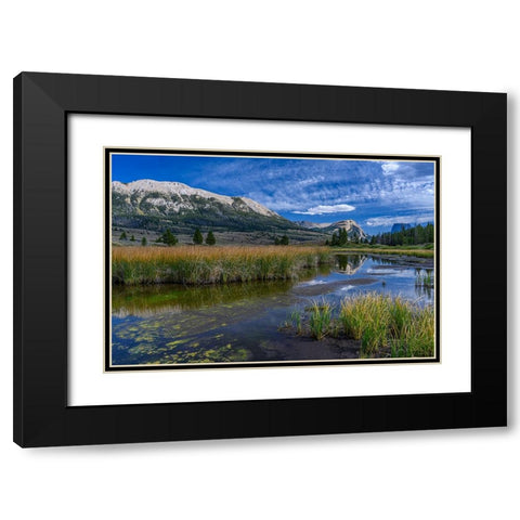USA-Wyoming-White Rock Mountain and Squaretop Peak above Green River wetland Black Modern Wood Framed Art Print with Double Matting by Garber, Howie