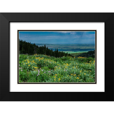 USA-Wyoming-Wildflowers and view of Teton Valley-Idaho-summer-Caribou-Targhee National Forest Black Modern Wood Framed Art Print with Double Matting by Garber, Howie