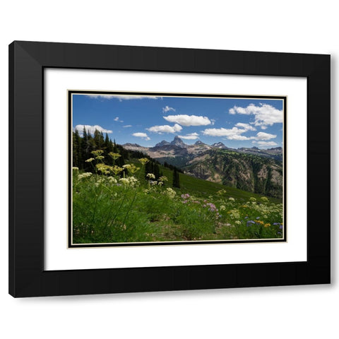 USA-Wyoming-Meadow filled with wildflowers in front of Grand Teton-Teton Mountains from west in Jed Black Modern Wood Framed Art Print with Double Matting by Garber, Howie