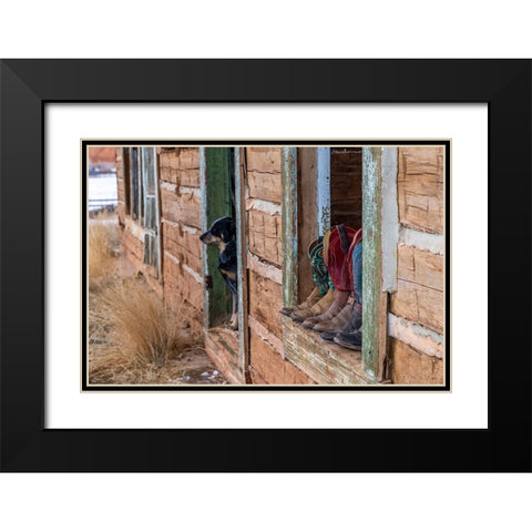 USA- Wyoming. Hideout Horse Ranch- boots on display.  Black Modern Wood Framed Art Print with Double Matting by Looney, Hollice