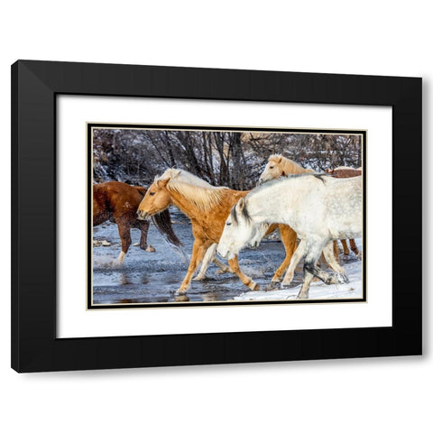 USA- Wyoming. Hideout Horse Ranch- horses crossing the stream.  Black Modern Wood Framed Art Print with Double Matting by Looney, Hollice